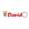 Porta-Chaves do Benfica " David "