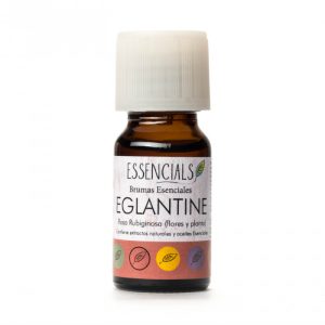 Óleos essências e de aromoterapia de Eglantine