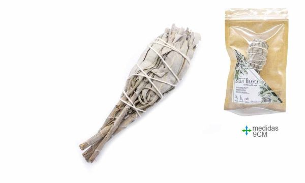 Tocha de Salvia Branca